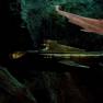 Nautilus Miniature from The Return of Captain Nemo