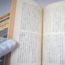 Time Tunnel Japanese Timeslip Novel