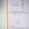 Time Tunnel Japanese Timeslip Novel