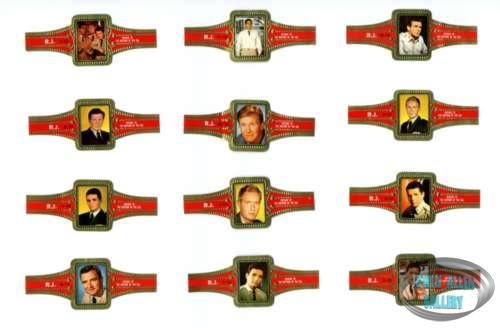 Twleve Cigar Bands