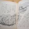 Voyage to the Bottom of the Sea hardback novel