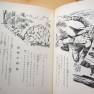 Voyage to the Bottom of the Sea hardback novel