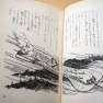 Voyage to the Bottom of the Sea hardback novel