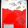 Japanese Voyage Novel