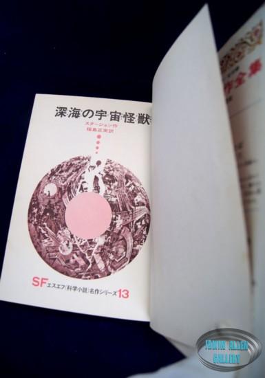 Japanese Voyage Novel
