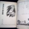 Japanese Voyage Novel