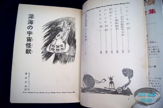 Japanese Voyage Novel