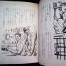 Japanese Voyage Novel