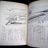 Japanese Voyage Novel