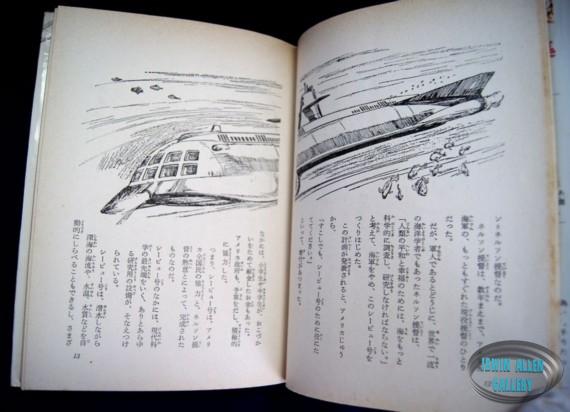 Japanese Voyage Novel