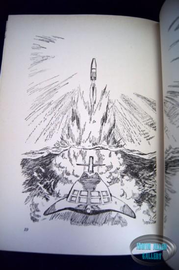Japanese Voyage Novel