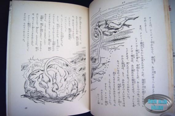 Japanese Voyage Novel