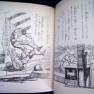 Japanese Voyage Novel