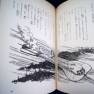 Japanese Voyage Novel