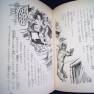 Japanese Voyage Novel