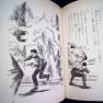 Japanese Voyage Novel