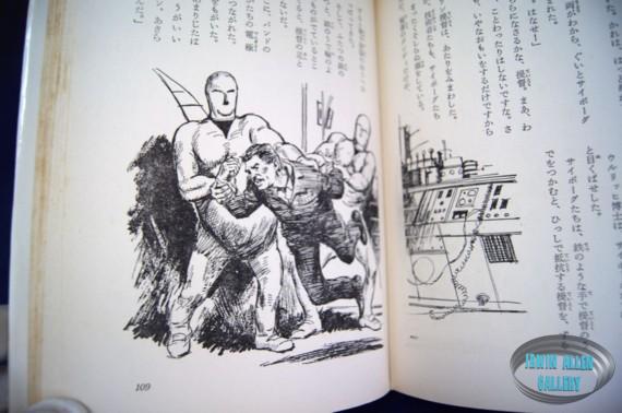 Japanese Voyage Novel