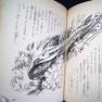 Japanese Voyage Novel