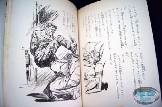 Japanese Voyage Novel