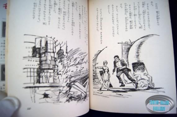 Japanese Voyage Novel