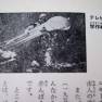 Japanese Voyage Novel