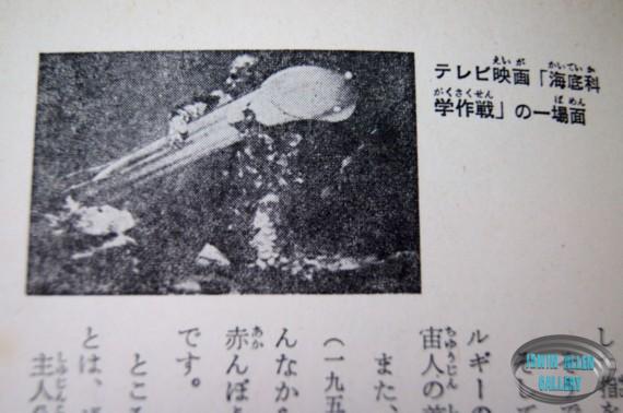 Japanese Voyage Novel