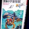 Japanese Voyage Novel