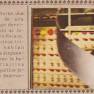 Spanish Sticker Book 2 Sticker 172