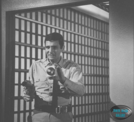 David Hedison