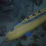 Yellow Missile Sub Miniature