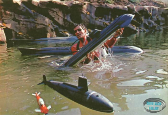 David Hedison Swims with Miniatures