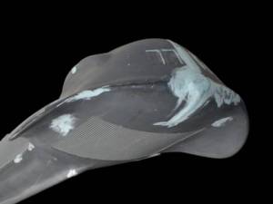 Seaview Prototype