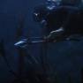 Speargun in The Creature