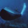 Vulcan Submarine from Front