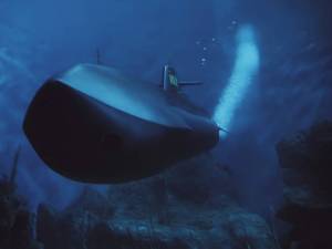 Vulcan Submarine