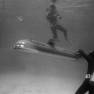 Divers Working with Seaview Miniature